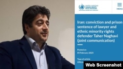 Tahir Nəqəvi