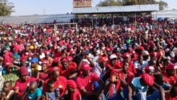 Udaba Esilethulelwe NguAlbert Ncube
