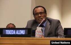 Ambaasaadder Tekeda Alemu