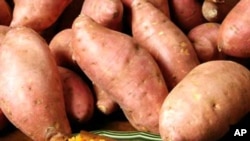 Prato batata doce