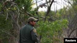 Un agente de la Patrulla Fronteriza de EE.UU. busca a migrantes indocumentados que cruzaron ilegamente la frontera desde México, cerca de Peñitas, Texas. Abril 8 de 2019.