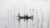Fishermen place bamboo, where they will later place tree branches and fish food, to catch fish in a river in Dhaka, Bangladesh.