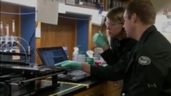 Researchers Develop Formula for Vaccines Against All Hemorrhagic Viruses