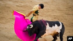 西班牙鬥牛士在馬德里的拉斯班塔斯鬥牛場表演鬥牛。