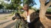 Feisal Omar, a photographer for the Reuters news agency, has been injured while covering a dangerous situation in Somali.