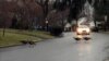 Wild Turkeys Terrorize New Jersey Town 