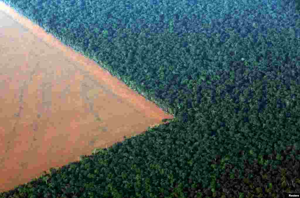 The Amazon rain forest (R), bordered by deforested land prepared for the planting of soybeans in Mato Grosso state in western Brazil