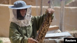 Beekeeper Frozan, 16, checks a beehive in the Marmul district of Balkh province, Afghanistan, March 29, 2018. 
