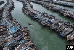 เรือประมงเทียบท่าในเกาฉือ มณฑลฝูเจี้ยน ก่อนไต้ฝุ่นทกซูรีขึ้นฝั่ง เมื่อ 26 กรกฎาคม 2023
