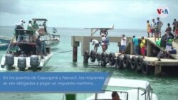 Video: Migrantes indocumentados se adentran en la selva del Darién 