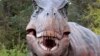 Fossils of Miniature T. Rex Found in Arctic