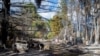 Nuevo incendio en Patagonia argentina quema viviendas y obliga a evacuación de cientos
