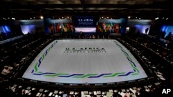 Biden Africa Summit