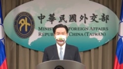 台湾设立驻立陶宛代表处，学者：美方暗助 中国反弹