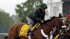 'Animal Kingdom' gana en Kentucky