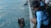 Signal from AirAsia Black Box Detected
