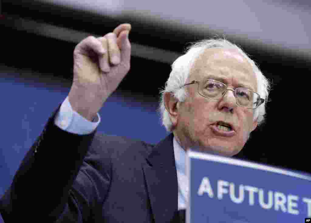 Berni Sanders hamon poygada