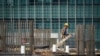 Malaysia imposes anti-dumping duties on iron, steel imports from 4 countries
