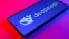 聿文视界：DeepSeek冲击波：技术创新的“孤例”