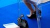 US Suspends French Tariffs Over Digital Services Tax