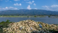 နယ်စပ်ကုန်သွယ်ရေး မမျှတမှုကိစ္စ ရှမ်းပြည်နယ်အစိုးရနဲ့ ယူနန်အာဏာပိုင်တို့ မကြာခင်ဆွေးနွေးမည်