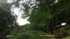 Puerto Rico después de Irene