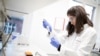 WHO Experts Postpone Decision on Coronavirus as a Global Risk
