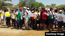 FILE: Ababalisi abake bakhalala umsebenzi batshengisela emigwaqweni. (Photo: ZIMTA)