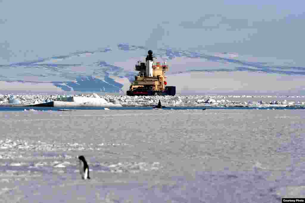 IceCube used icebreakers to deliver heavy equipment from Sweden to the coast of Antarctica. (Chadden Hunter)