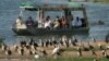 Ce meurtre dans l'un des plus célèbres parc d'Ouganda avait suscité des craintes dans le secteur du tourisme, qui a contribué à près de 10% du PIB du pays l'an dernier.