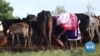 Tanzanian Group Fights to End FGM With Alternative Rite of Passage