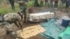 Miembros de las Fuerzas de Seguridad de Bolivia manipulan parte de las 44 toneladas de droga incautadas en el país en las dos primeras semanas de septiembre de 2020.