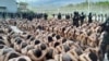 Miembros de la Policía Militar del Orden Público custodian a pandilleros luego de que las Fuerzas Armadas tomaran el control de los penales a nivel nacional como parte del operativo "Fe y Esperanza", en esta foto del folleto divulgada el 26 de junio de 2023.