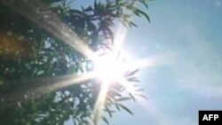 عکس ترئینی