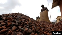 FILE - Men pour out cocoa beans to dry in Niable, at the border between Ivory Coast and Ghana.