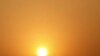 2010 Proved Tough Year for Environment