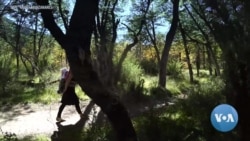 Indigenous Languages Showcased at Mother Tongue Film Festival