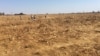 As hunger bites in Zimbabwe, children scrounge for maize grain that might have slipped off a harvester at a seed research farm in Mount Hampden, about 40 km west of Harare, in August 2016. (S. Mhofu/VOA)