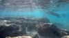 Hawaii Passes Bill to Ban Sun Care Products That Harm Coral