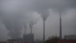 最新研究稱 中國碳排放量預計最快在2024年下降