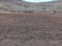 Las tierras secas ya están aradas en espera de las primeras lluvias.