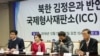 북한인권단체 "ICC에 김정은 제소…직권수사 요청할 것"