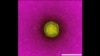 16x9 Image