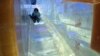 Chinese Sculptors Bring Their Talent to US Holiday Ice Show