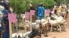 Kamaru Na Raba Dabbobi Don Yakar Boko Haram
