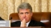 US Lawmaker Calls for Multinational Ground Force in Syria