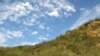 Study: Nature Creates Buffer Against Climate Change