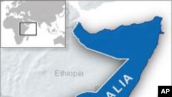 Somali Pirates Hijack Ship with 24 Crew
