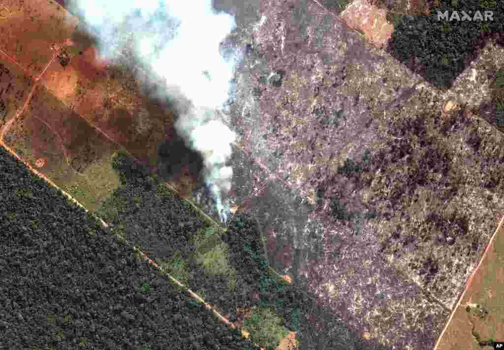 El fuego consume el Amazonas, pulmón del planeta.