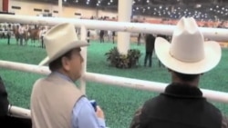 Rodeo/Texas